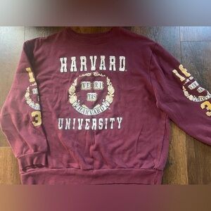 Vintage Harvard Sweatshirt Mens X-Large Gray Pullover Crewneck Y2K‎ TN